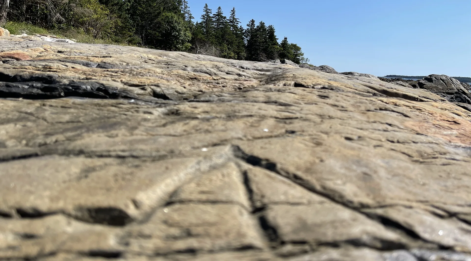 Goose Paw, the Traveling Symbol of Oak Island