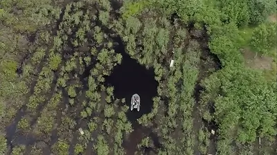 Eye of the Swamp