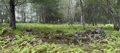 Stone Cairns