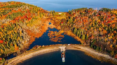 The Oak Island Swamp in autumn (AI-assisted historical reconstruction, not a photograph)