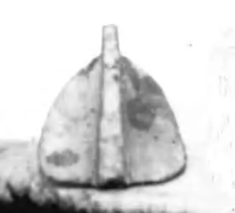 Anchor Fluke, Medieval Artifact found at Money Pit, Oak Island, Nova Scotia. Dated: Dating Unknown