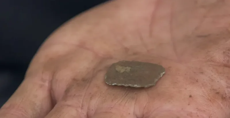 Ancient trade weight found near the stone wharf in the swamp
