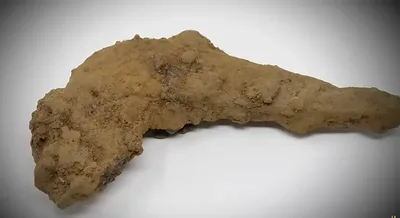 Bush Scythe Fragments — Oak Island artifact