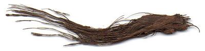 Coconut fibre (Smith's Cove)