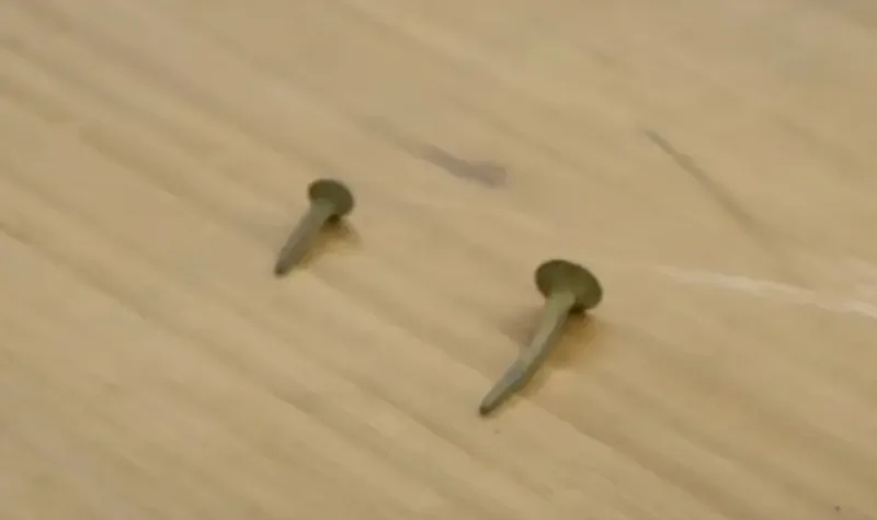 Copper ship nails (pair, 1720-1760)