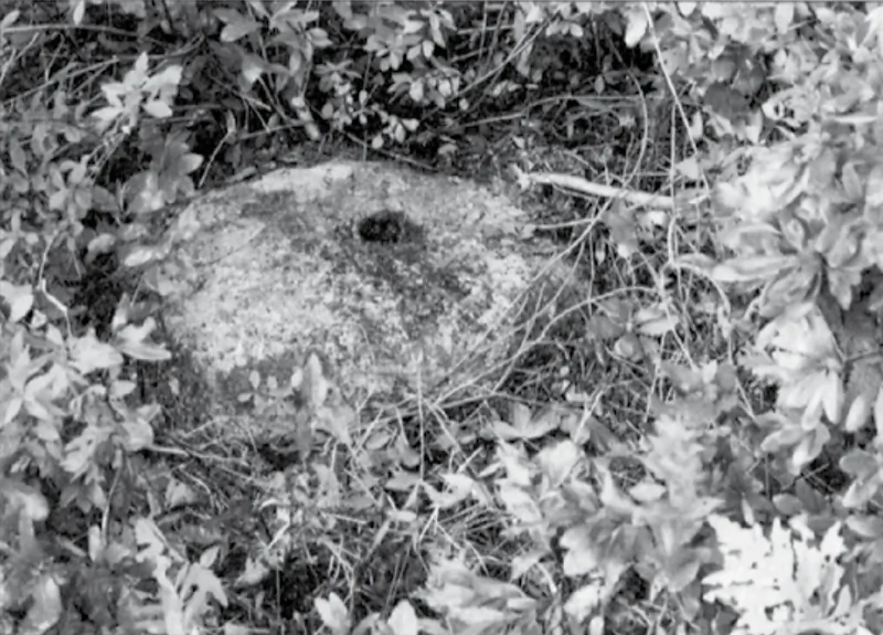 Oak Island Drilled Stone, Money  Pit location (C)OakIslandMystery.com