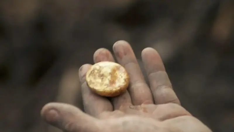 Gold-gilded copper button — colonial artifact. found at Island General, Oak Island. Dated: Unknown (colonial era or earlier)