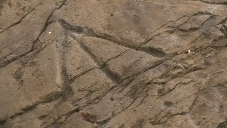 Goose Paw symbol (Brooklyn, NS) — prediscovery artifact. found at Off-Island, Oak Island. Dated: Unknown (possibly medieval)