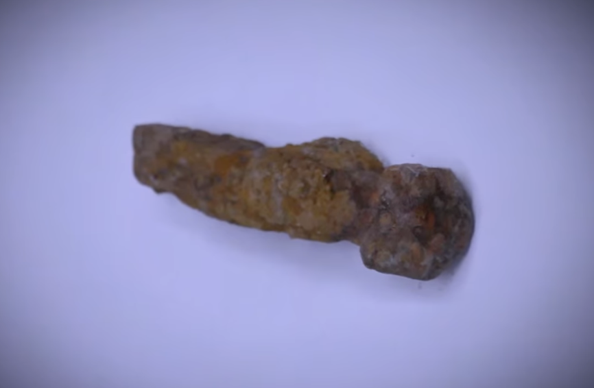 Hand-forged rose head spike — colonial artifact. found at Money Pit, Oak Island. Dated: Pre-1780, possibly 1600s