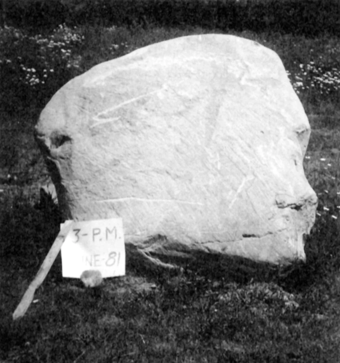 Head Stone (human face/sword)