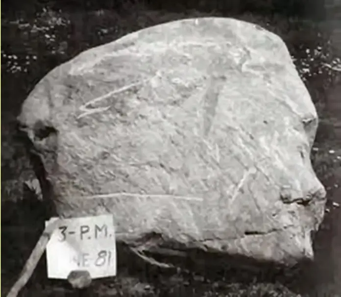Head Stone (human face/sword) — modern carved_stone. found at Other, Oak Island. Dated: Unknown