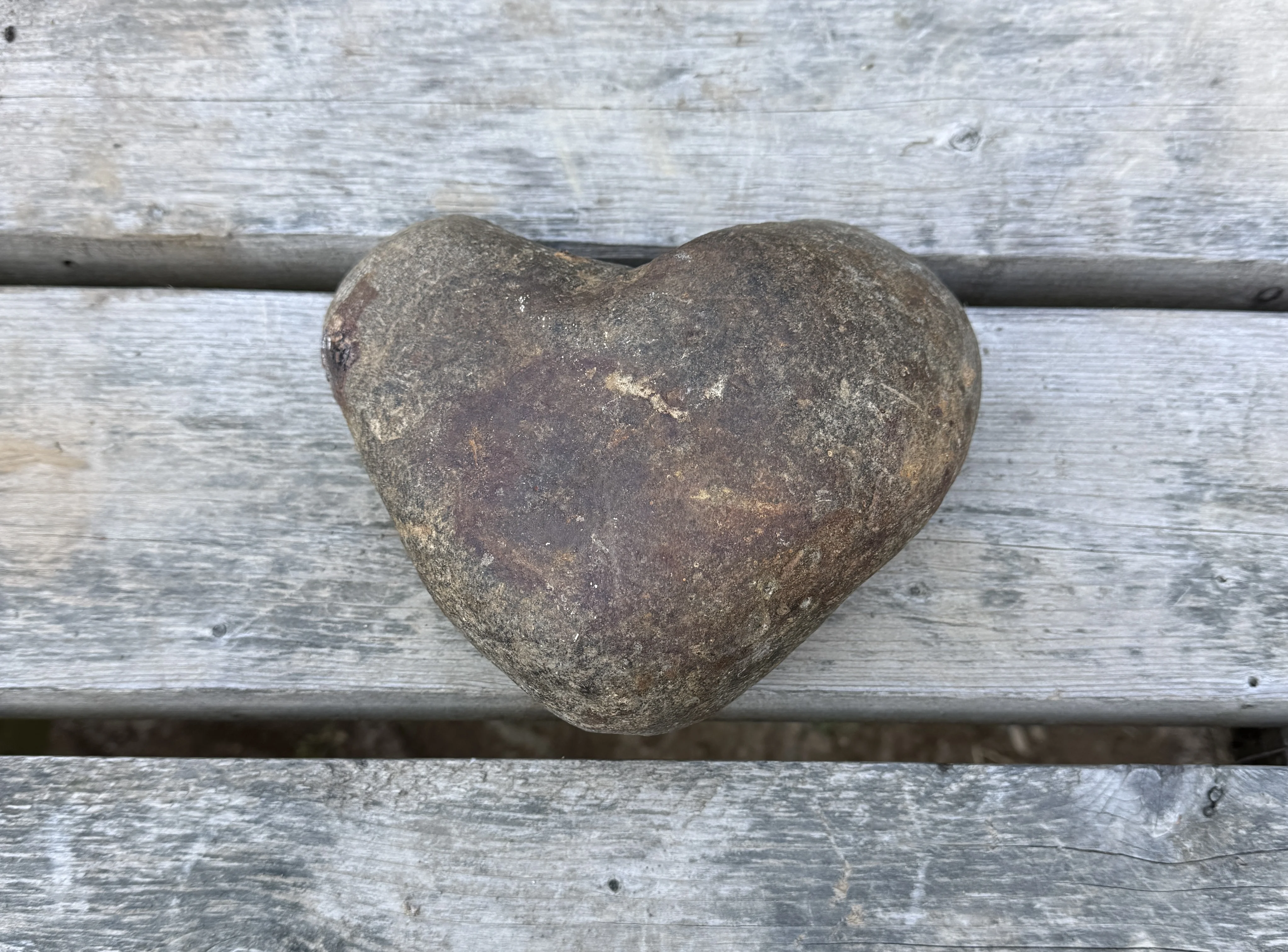 Heart-Shaped Stone (Smith's Cove)