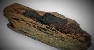 Human bone fragments (2 individuals)