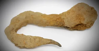 Iron cargo hook (Lot 11 well) — Oak Island artifact