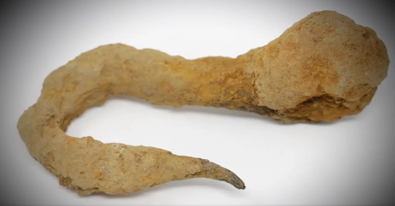 Iron cargo hook (Lot 11 well) — colonial artifact. found at The Swamp, Oak Island. Dated: Expert dated: 1650-1690 (Carmen Legge)