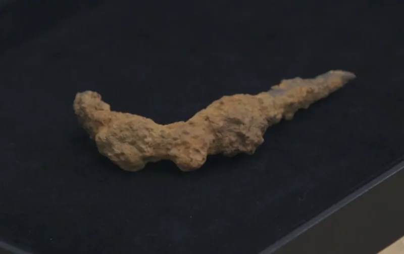 Iron Hook (Lot 5 Well) — Colonial Artifact found at Oak Island, Oak Island, Nova Scotia. Dated: Mid 1700s