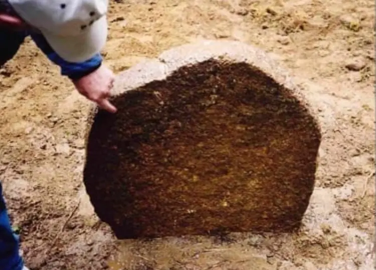 Kingdom Stone (Malkuth) — prediscovery carved_stone. found at Island General, Oak Island. Dated: Unknown (predates modern search era)