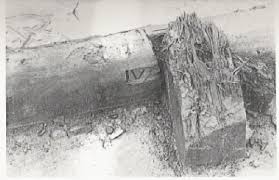 Large log with Roman numerals (65 ft) — colonial artifact. found at Smith's Cove, Oak Island. Dated: Dendro: trees felled c. 1770