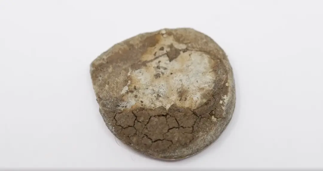 Lead Bag Seal - London, I. Lloyd Army Packers — colonial artifact. found at Island General, Oak Island. Dated: 1808 or older (possibly 1500s)