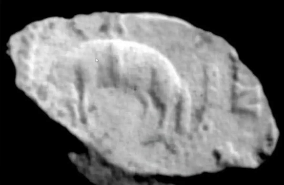 Lead Bag Seal - Leeds, with Golden Fleece — colonial artifact. found at Island General, Oak Island. Dated: 1500s