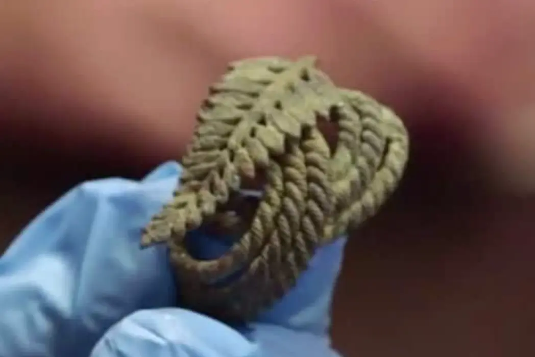 Leaf/Fern Brooch — colonial artifact. found at Island General, Oak Island