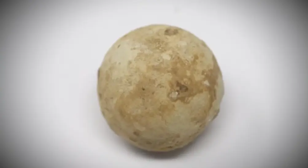 Musket Ball (Lead Shot) — colonial artifact. found at Lot 5 Stone Feature, Oak Island. Dated: Pre-1700