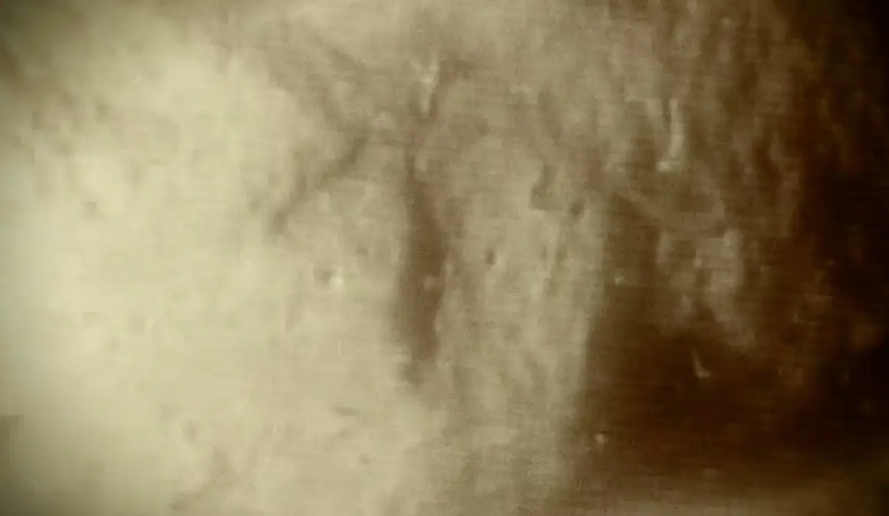 New Ross Well Symbol — prediscovery carved_stone. found at Off-Island, Oak Island