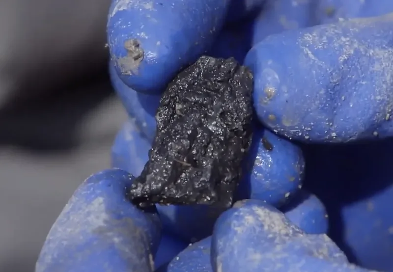 Piece of chain + bone — Modern Artifact found at Money Pit, Oak Island, Nova Scotia. Dated: Dating Unknown