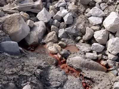 Red dye emerging at Smith's Cove