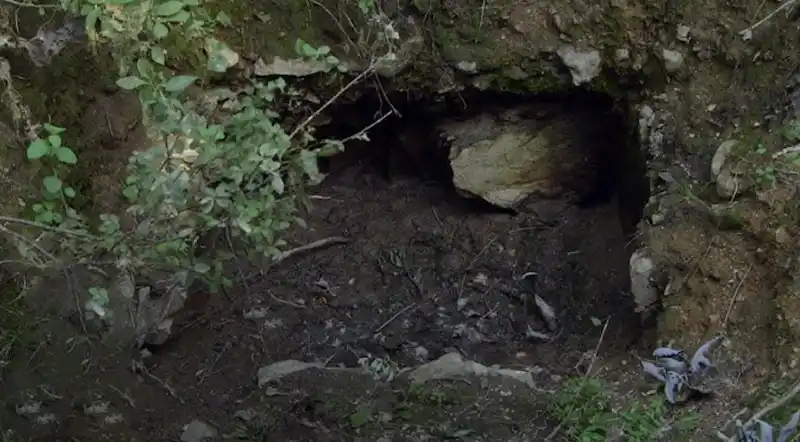 Square-shaped hatch — modern structure. found at Island General, Oak Island. Dated: Unknown