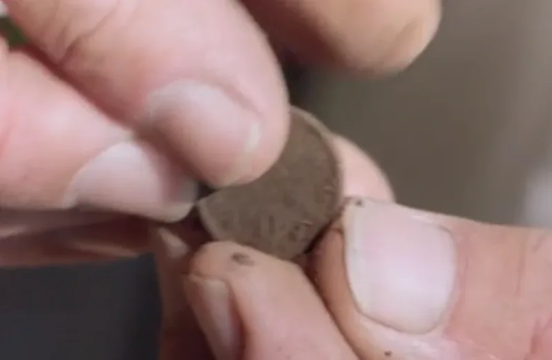 Unusual coin or token with webbing design, undated (Money Pit) — Colonial Coin found at Money Pit, Oak Island, Nova Scotia. Dated: Dating Unknown