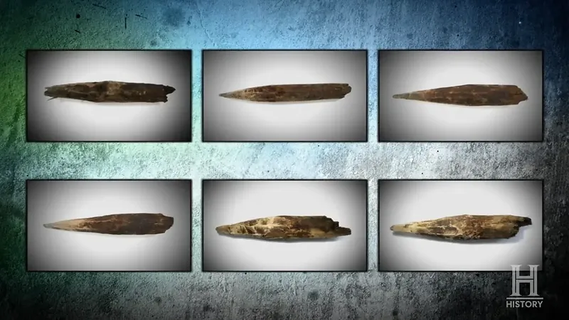 Wooden Stakes — Colonial Artifact found at The Swamp, Oak Island, Nova Scotia