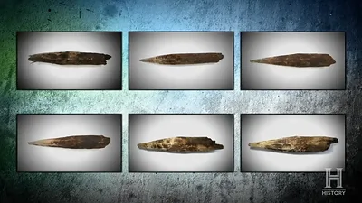 Wooden Stakes — Oak Island artifact